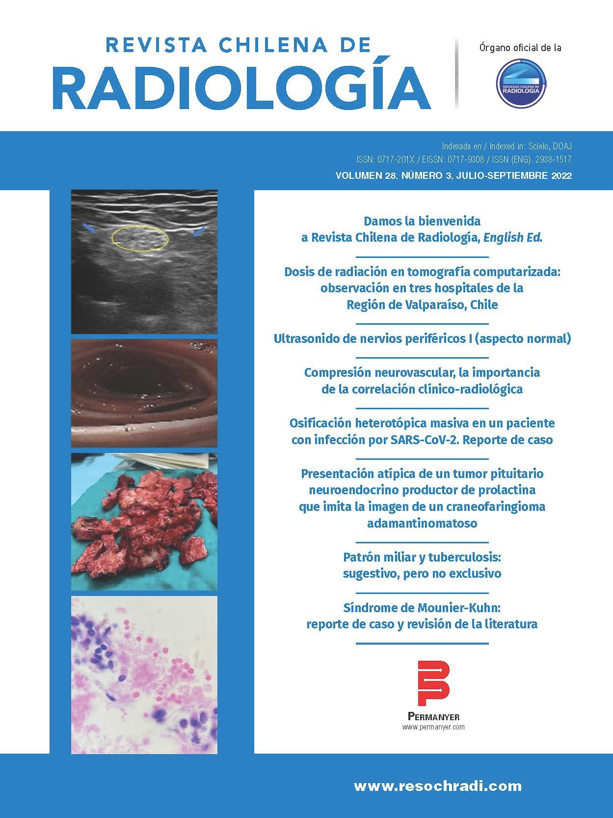 Vol.28 Num.3